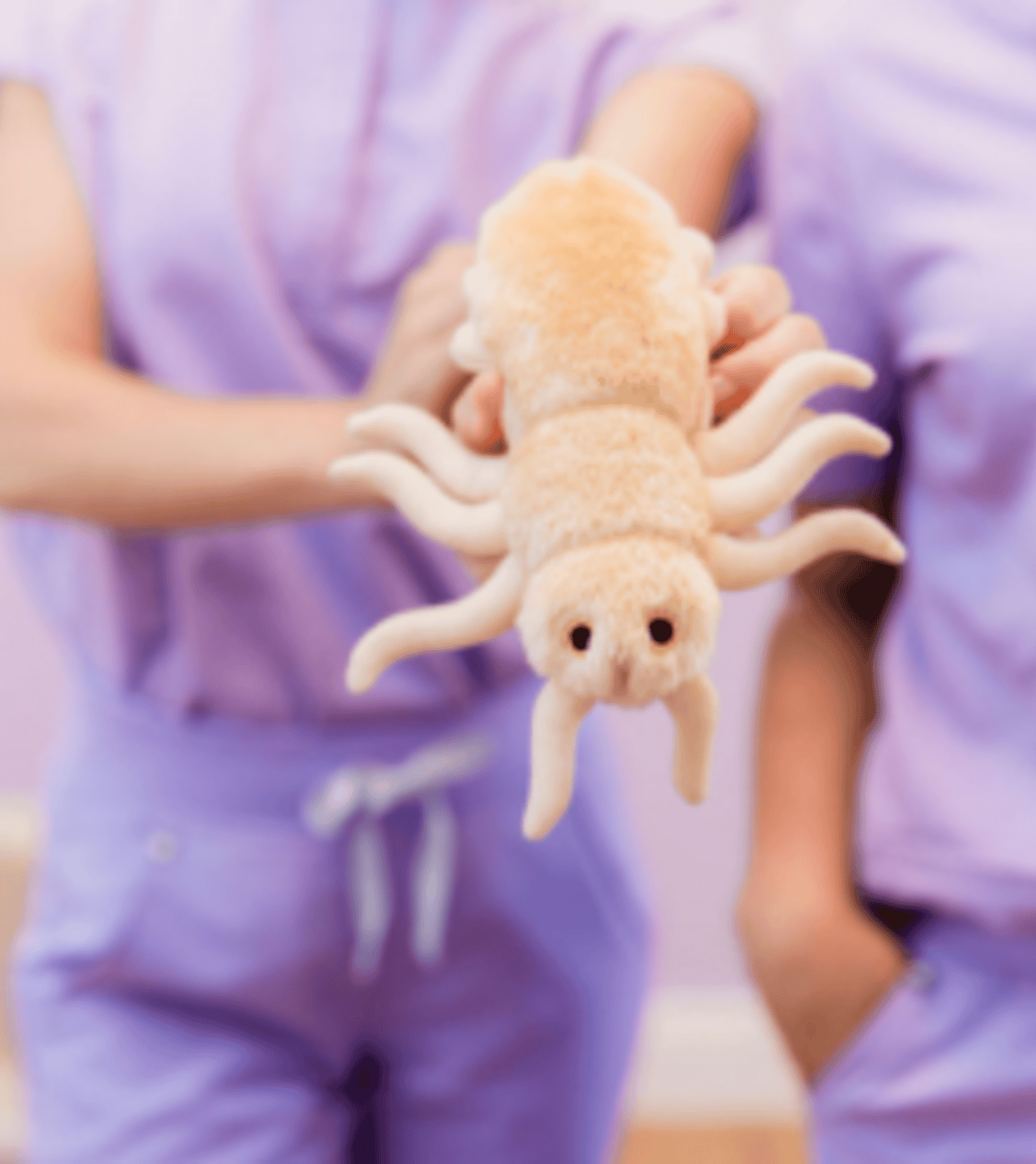 www-puresol-co-256-x-256-px-11-